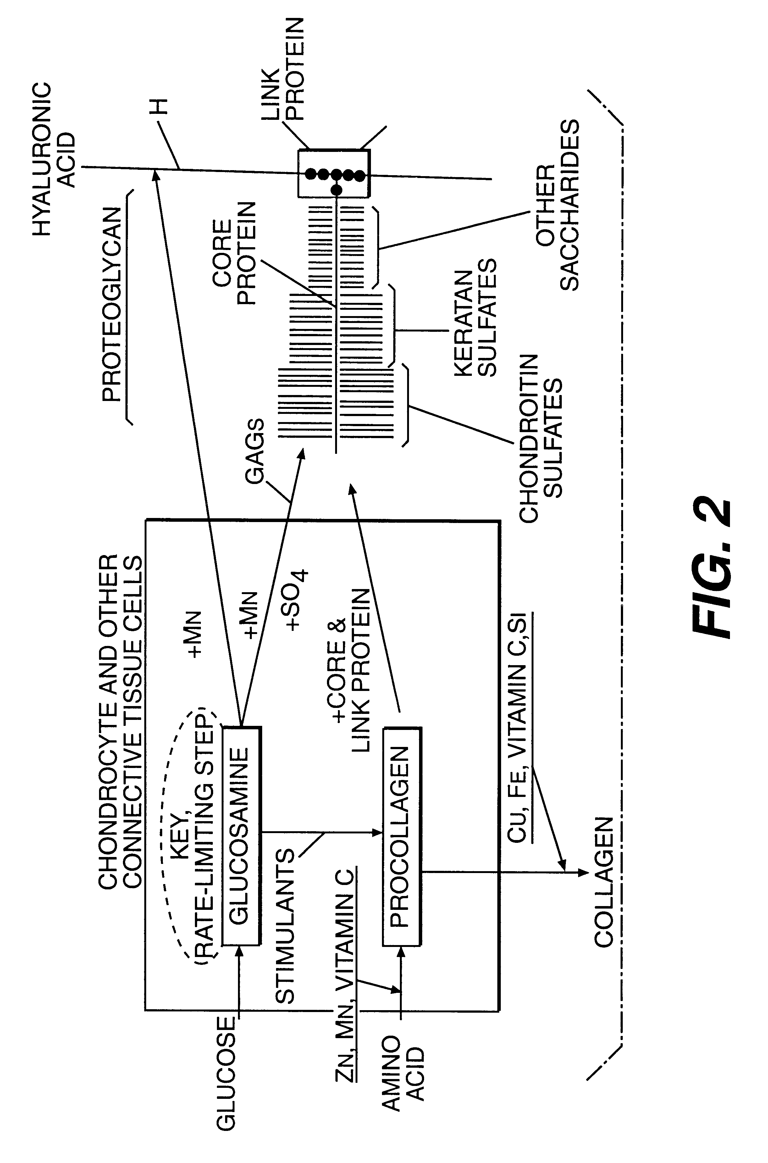 Aminosugar and glycosaminoglycan composition for the treatment and repair of connective tissue