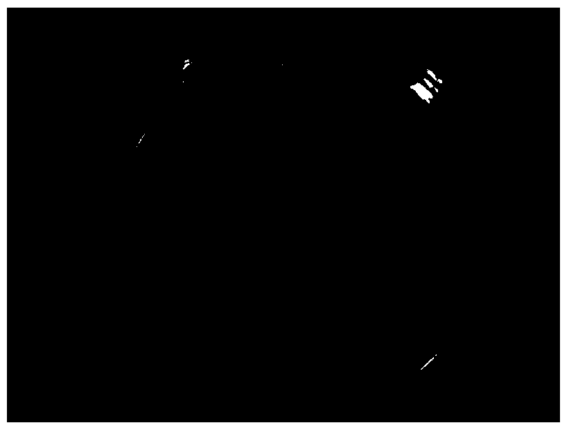 Dendrobium freeze-dried product and preparation method thereof