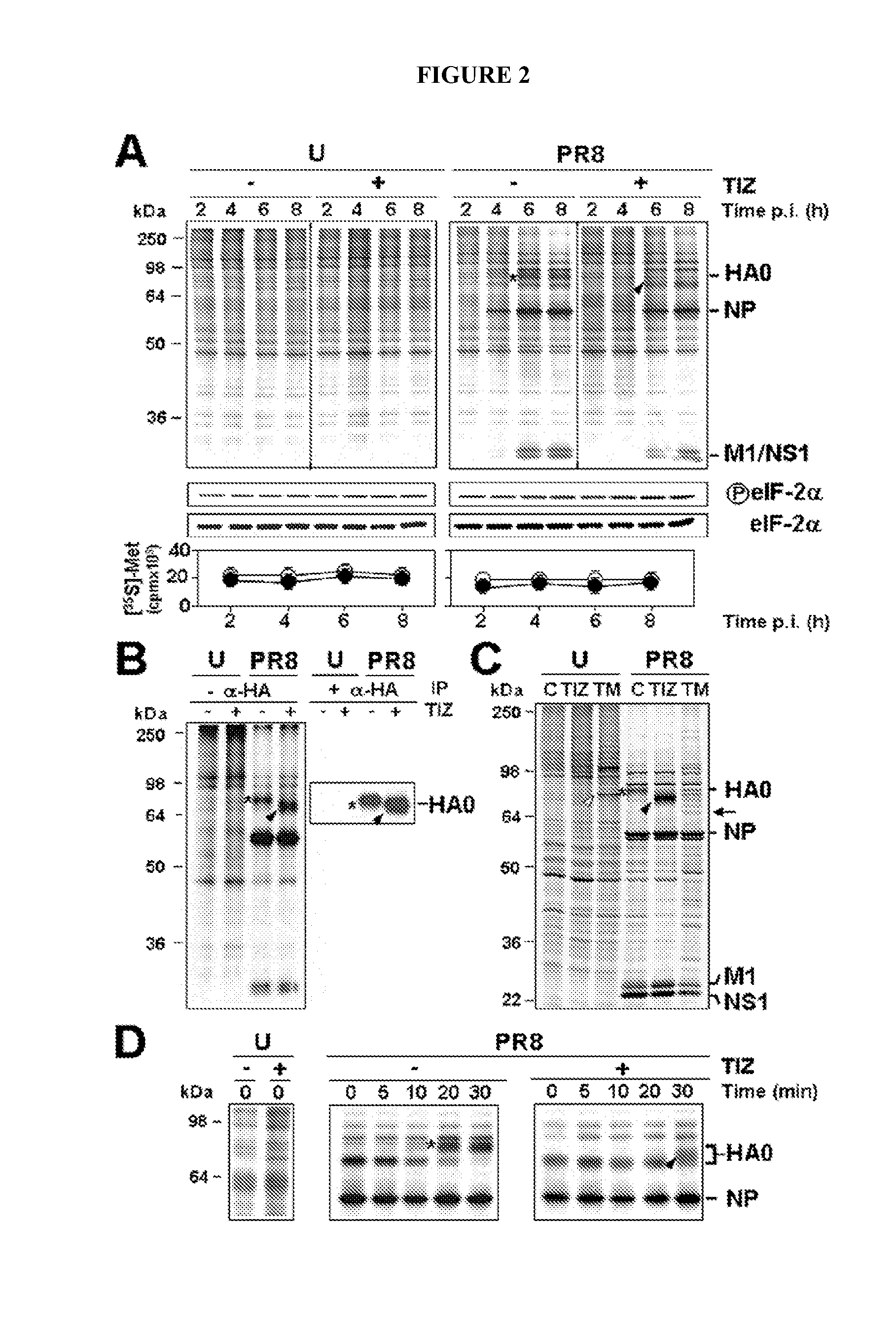 Compounds and methods for treating influenza