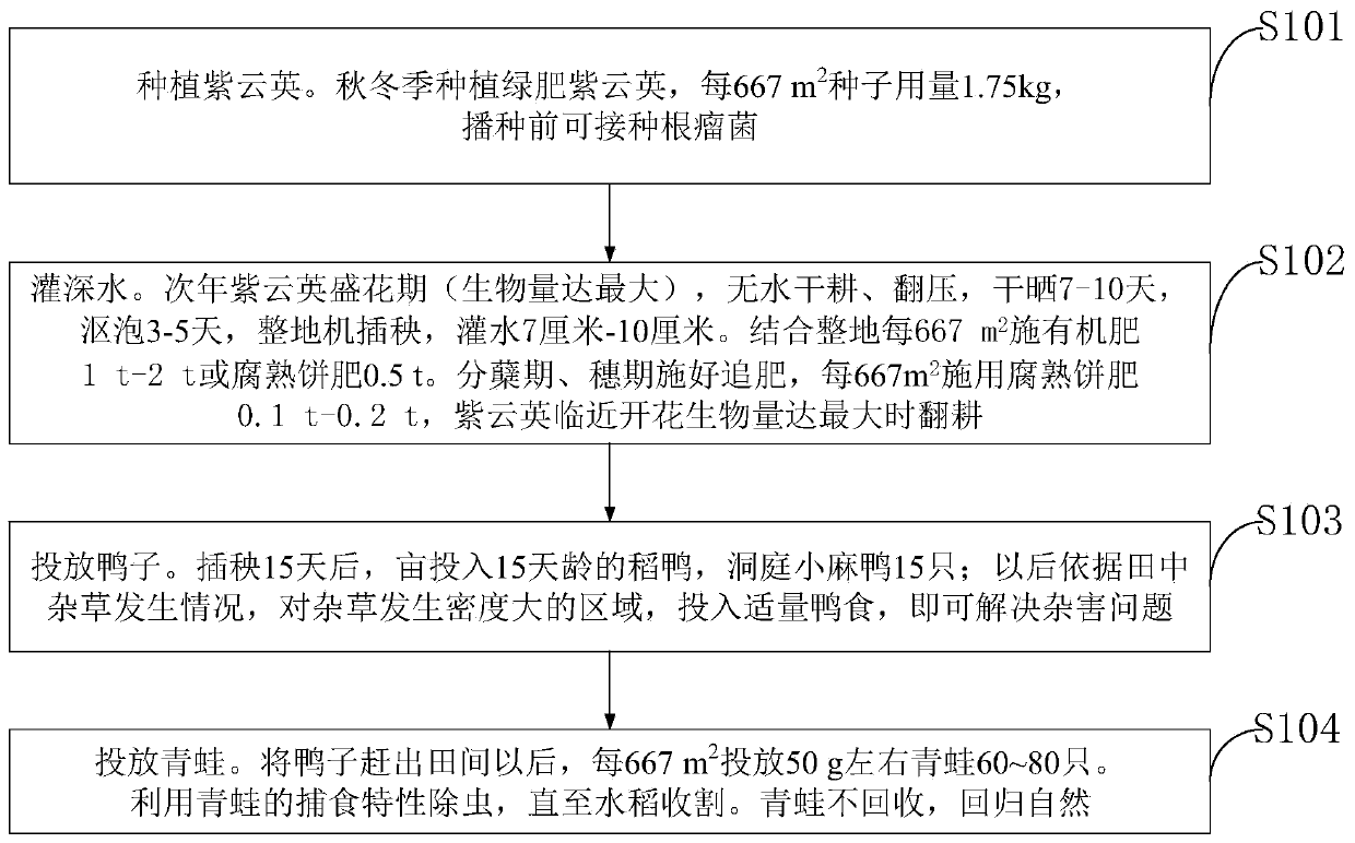 Method for producing rice capable of realizing disease and pest prevention, weed control and fertilizer reduction based on ducks and frogs