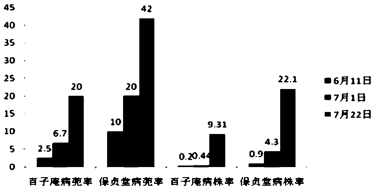 Method for producing rice capable of realizing disease and pest prevention, weed control and fertilizer reduction based on ducks and frogs