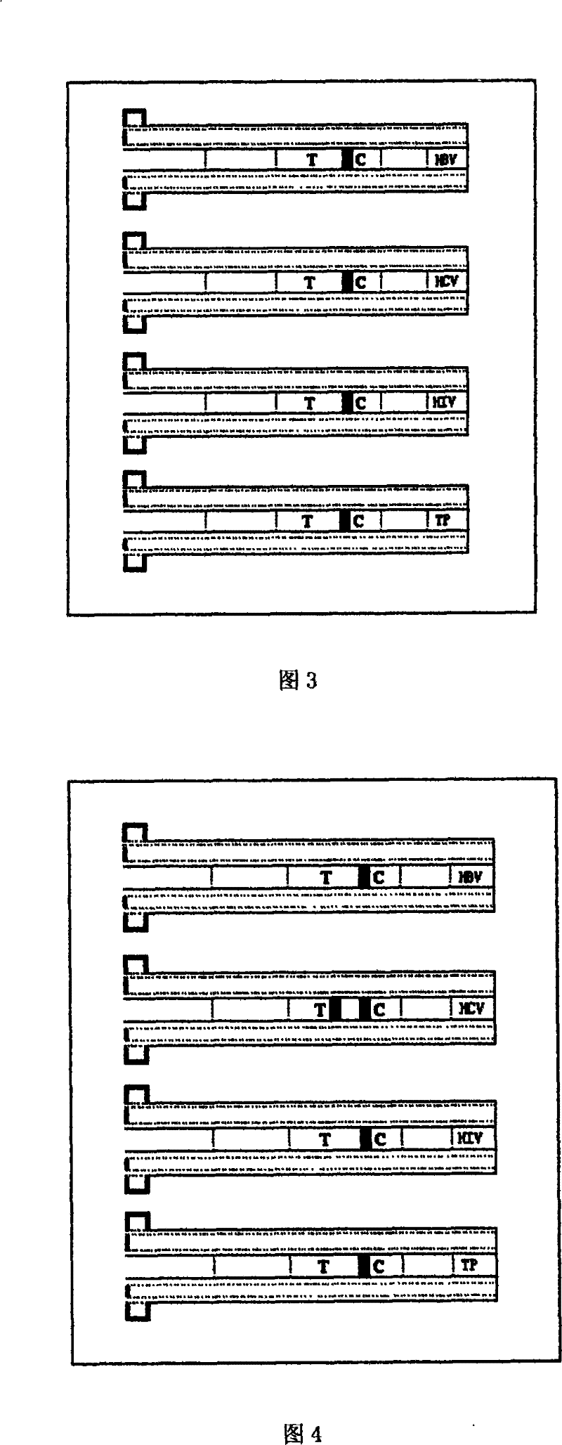 Portable blood infectious disease fast joint inspection device