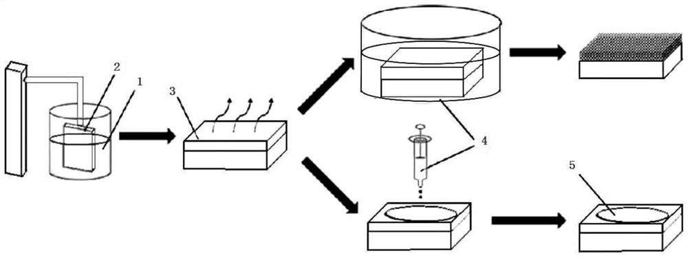 A cds/tio  <sub>2</sub> Thin film and its preparation method and application