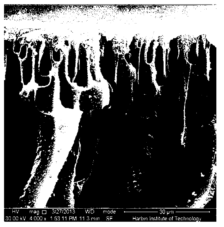 Preparation method of solvent-resistant compound nanofiltration membrane