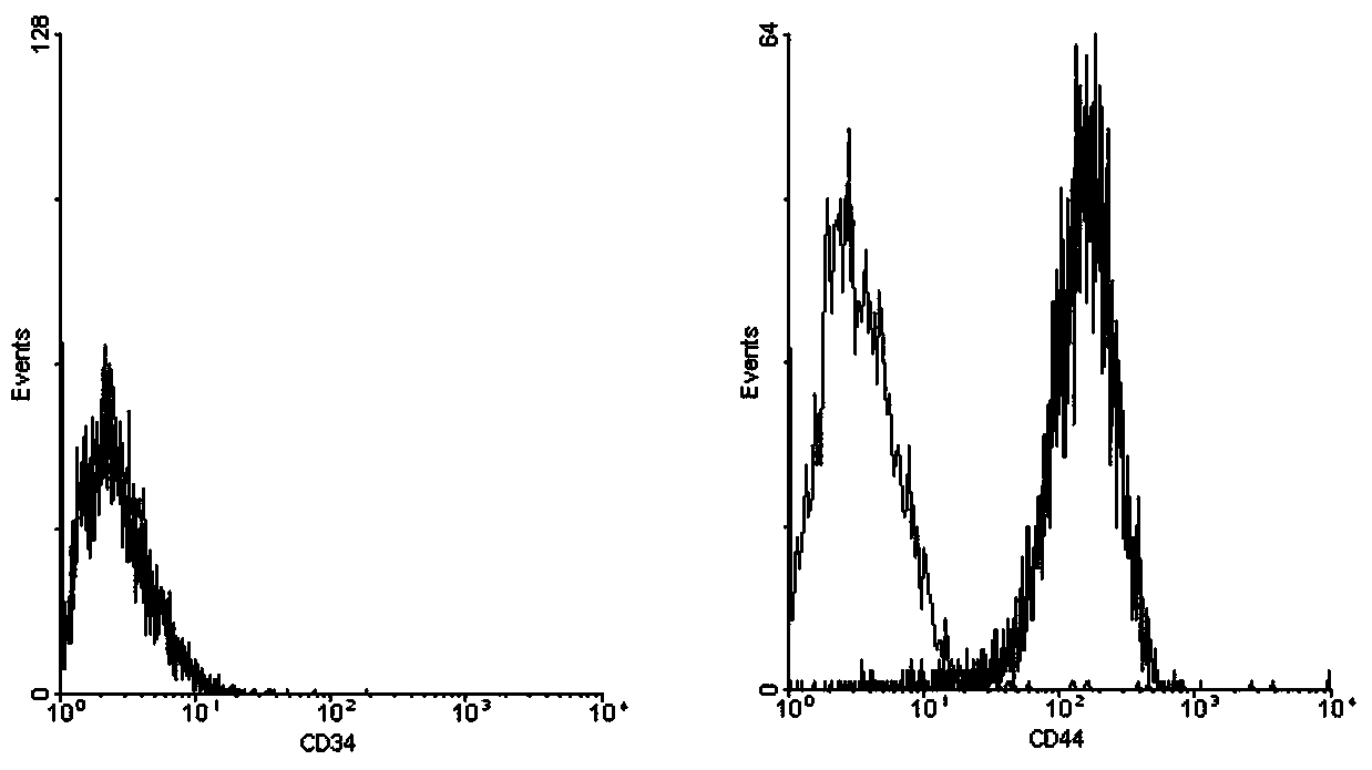 Versatile menstrual blood stem cell culture method