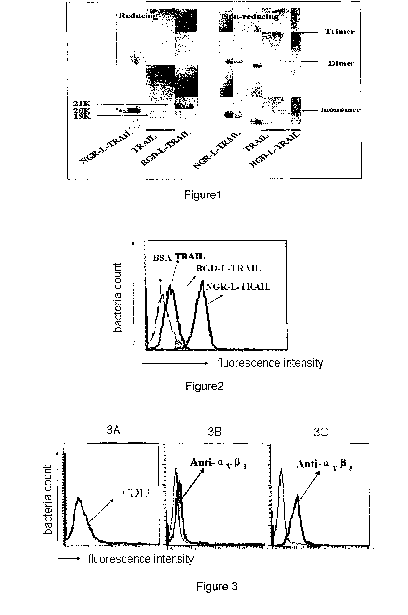 Tumor-targeted tnf-related apoptosis-inducing ligand's variant and the application thereof