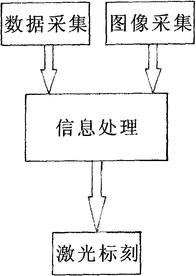 Tire laser marking device and method based on machine vision identity