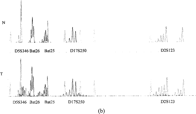 Method for extracting DNA from old formalin-fixed tissues