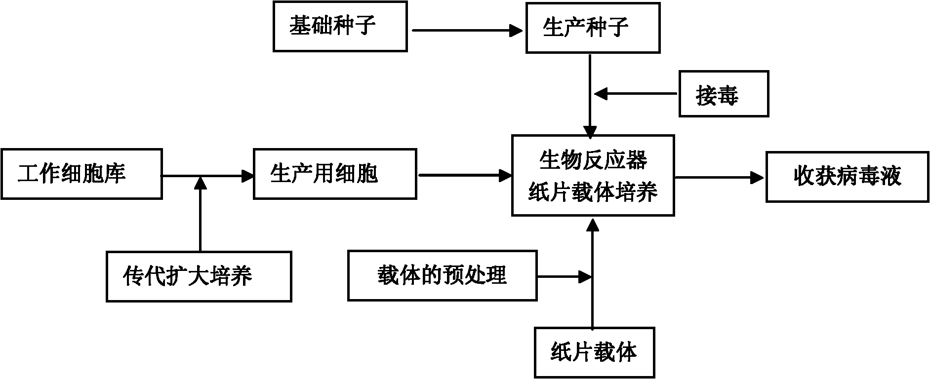 Method for producing PRRS (Porcine Reproductive and Respiratory Syndrome) viruses