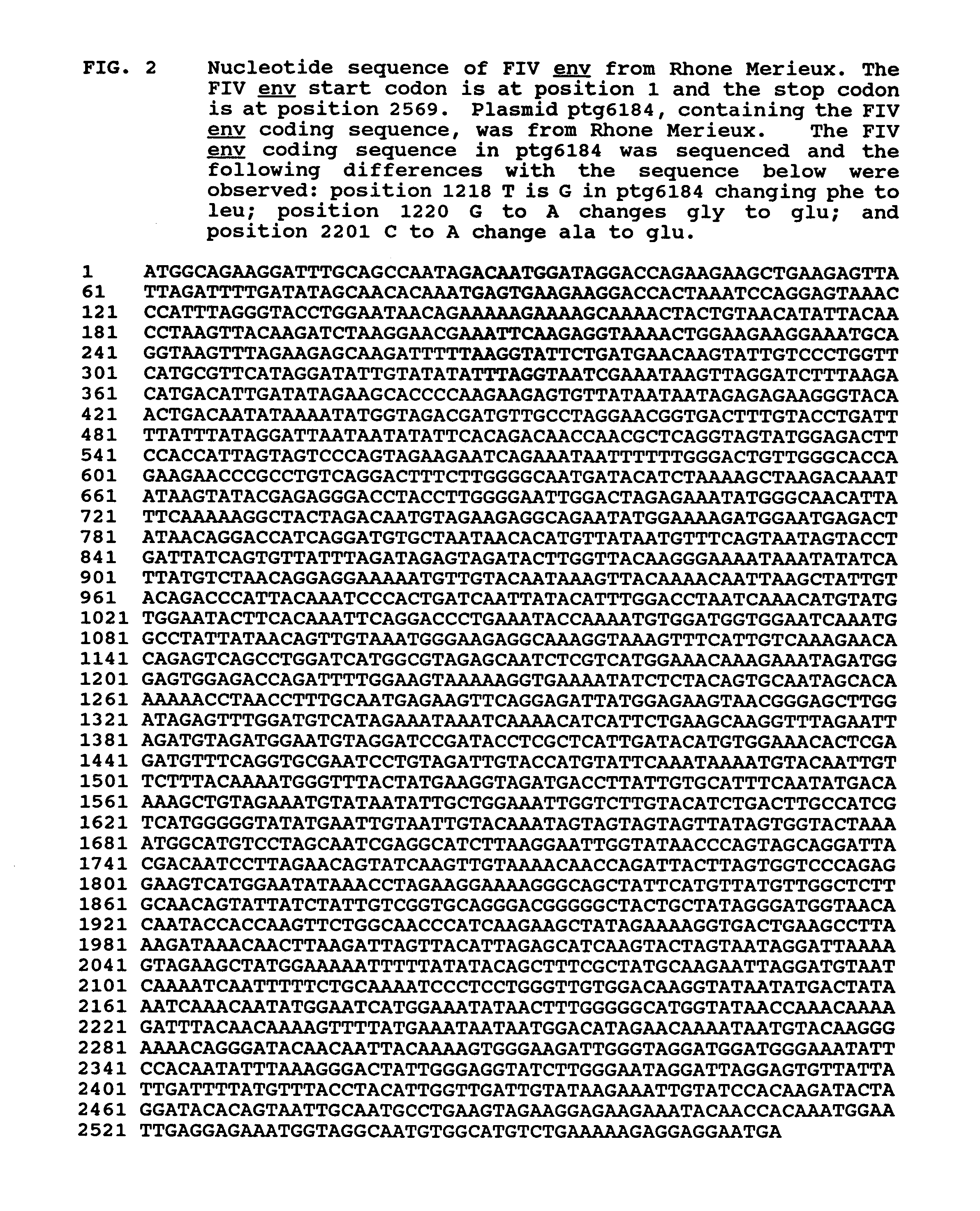 ALVAC/FIV constructs