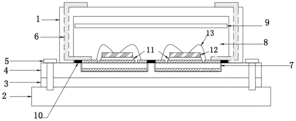 IGBT module for electric automobile