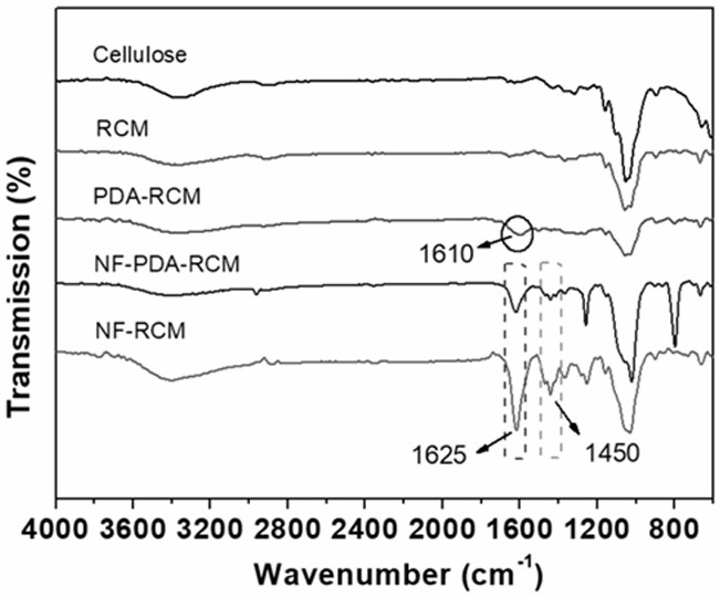 A kind of preparation method of structurally stable cellulose flat nanofiltration membrane