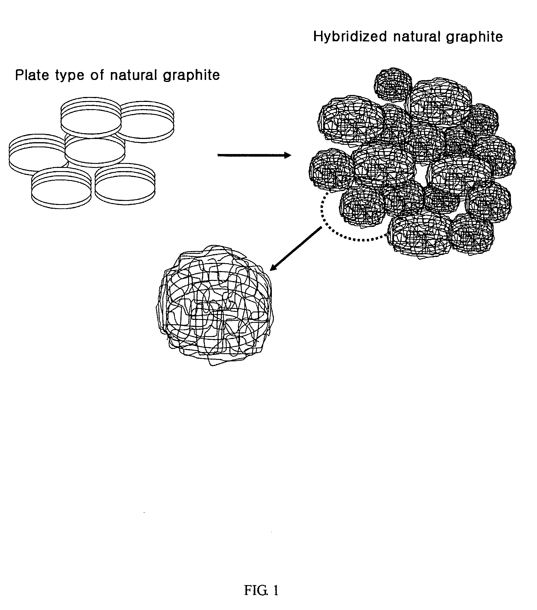 Anode active material hybridizing carbon nano fibers for lithium secondary battery