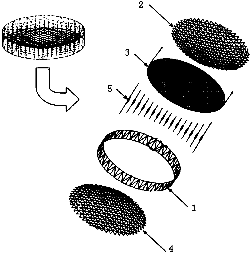 Mesh surface of spaceborne mesh antenna