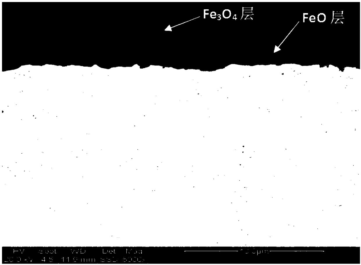 Manufacturing method of thin slab continuous casting and rolling high surface quality medium and high carbon steel