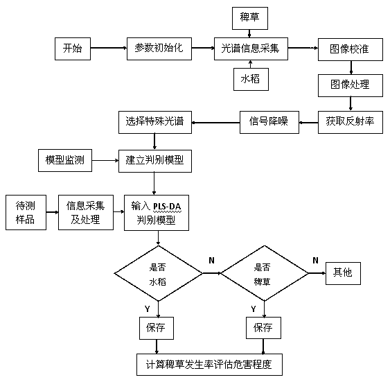 Method for identifying barnyard grass of rice field by utilizing a hyperspectral imaging technology