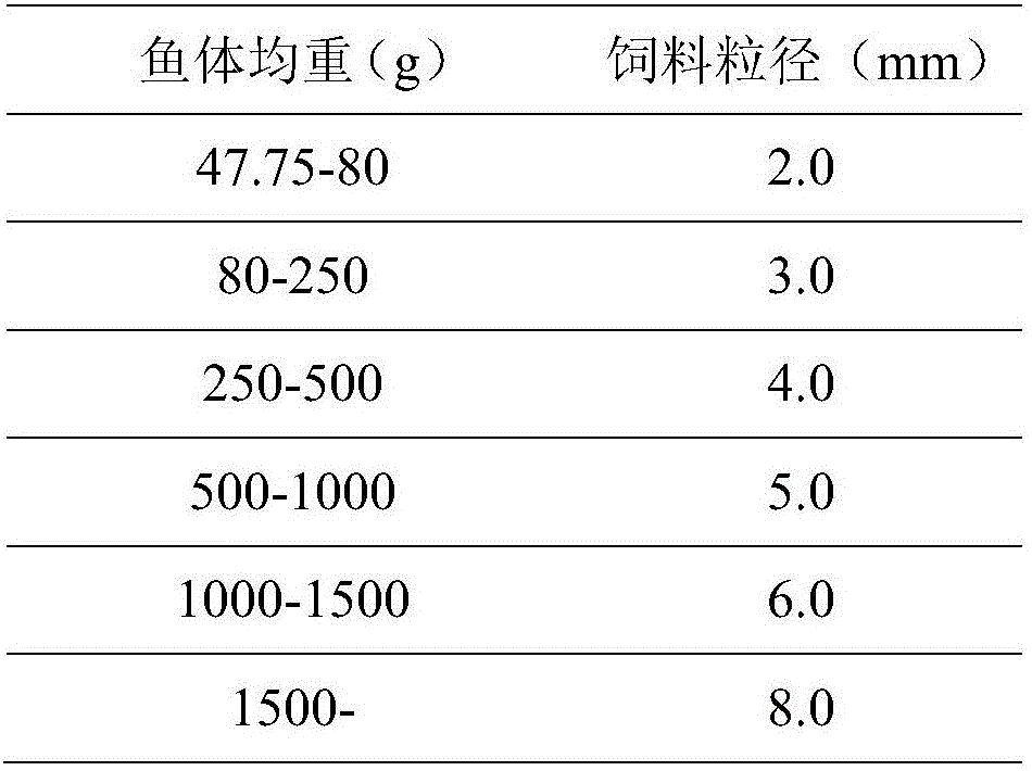 Mariculture method for oncorhynchus keta