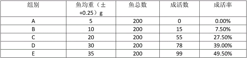 Mariculture method for oncorhynchus keta