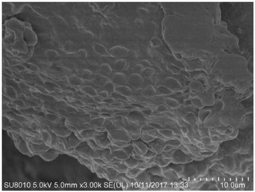 Method for treating black and odorous water body by using airlift circulation algae bio-membrane reactor