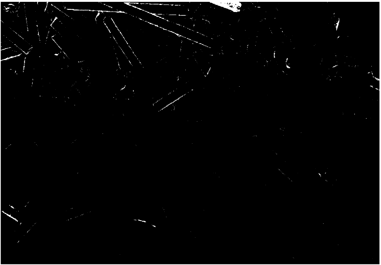 Nylon/graphene/carbon fiber composite powder and preparation method thereof, and application of composite powder to selective laser sintering technology