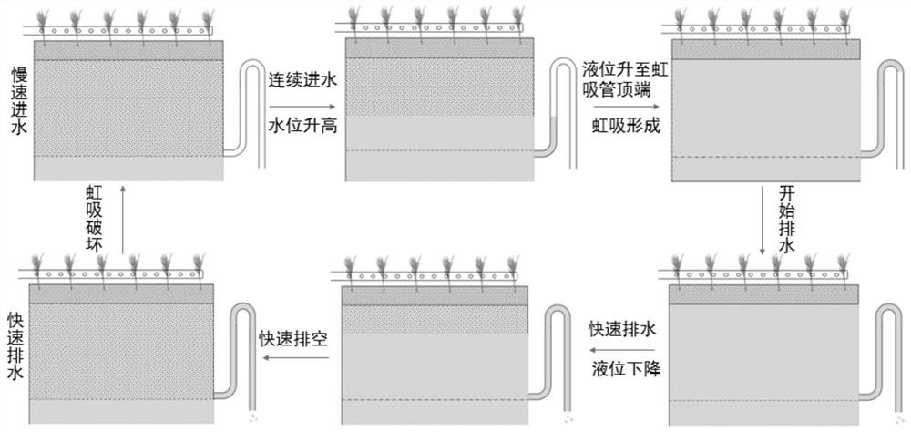 Magnesium hydroxide modified waste brick, preparation method thereof and application of magnesium hydroxide modified waste brick in artificial wetland system