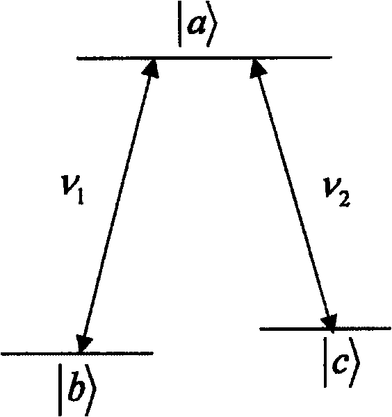 Laser phase noise measurer