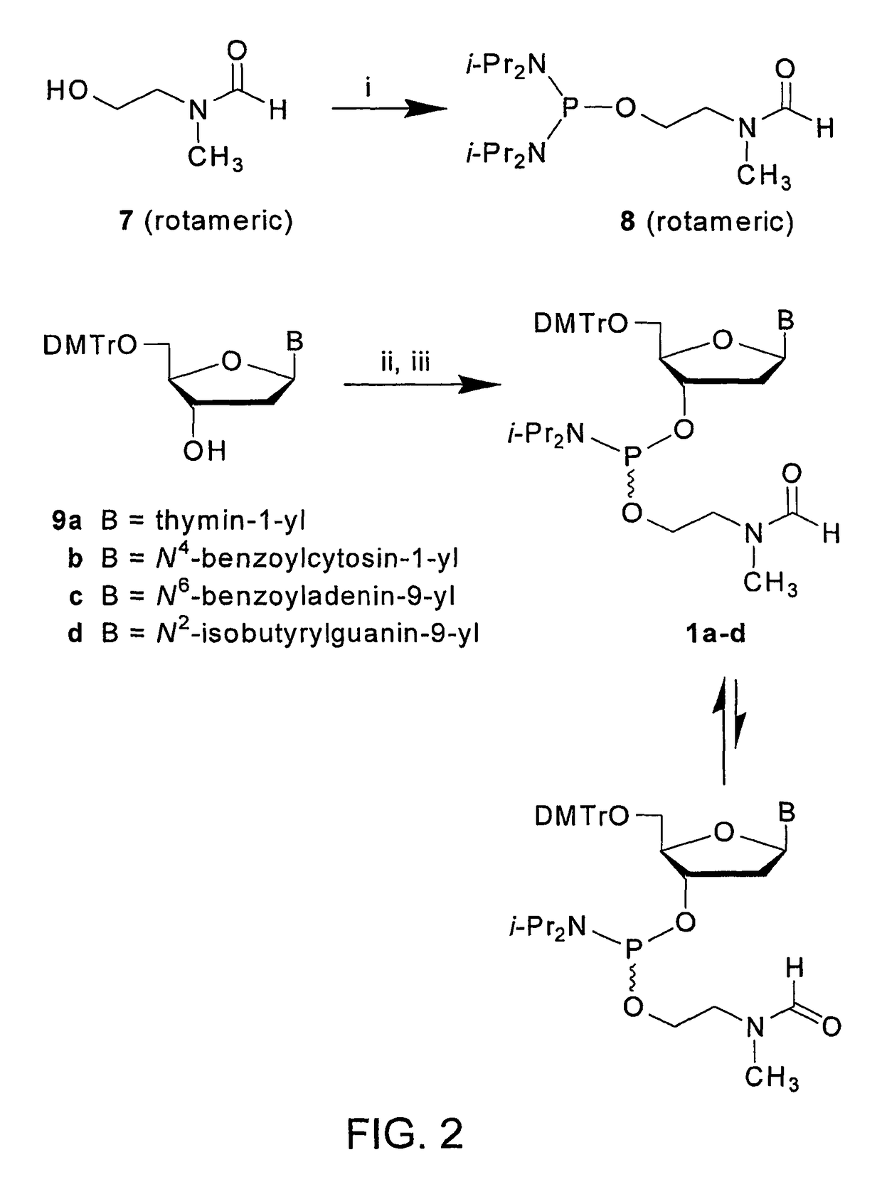 CpG oligonucleotide prodrugs, compositions thereof and associated therapeutic methods