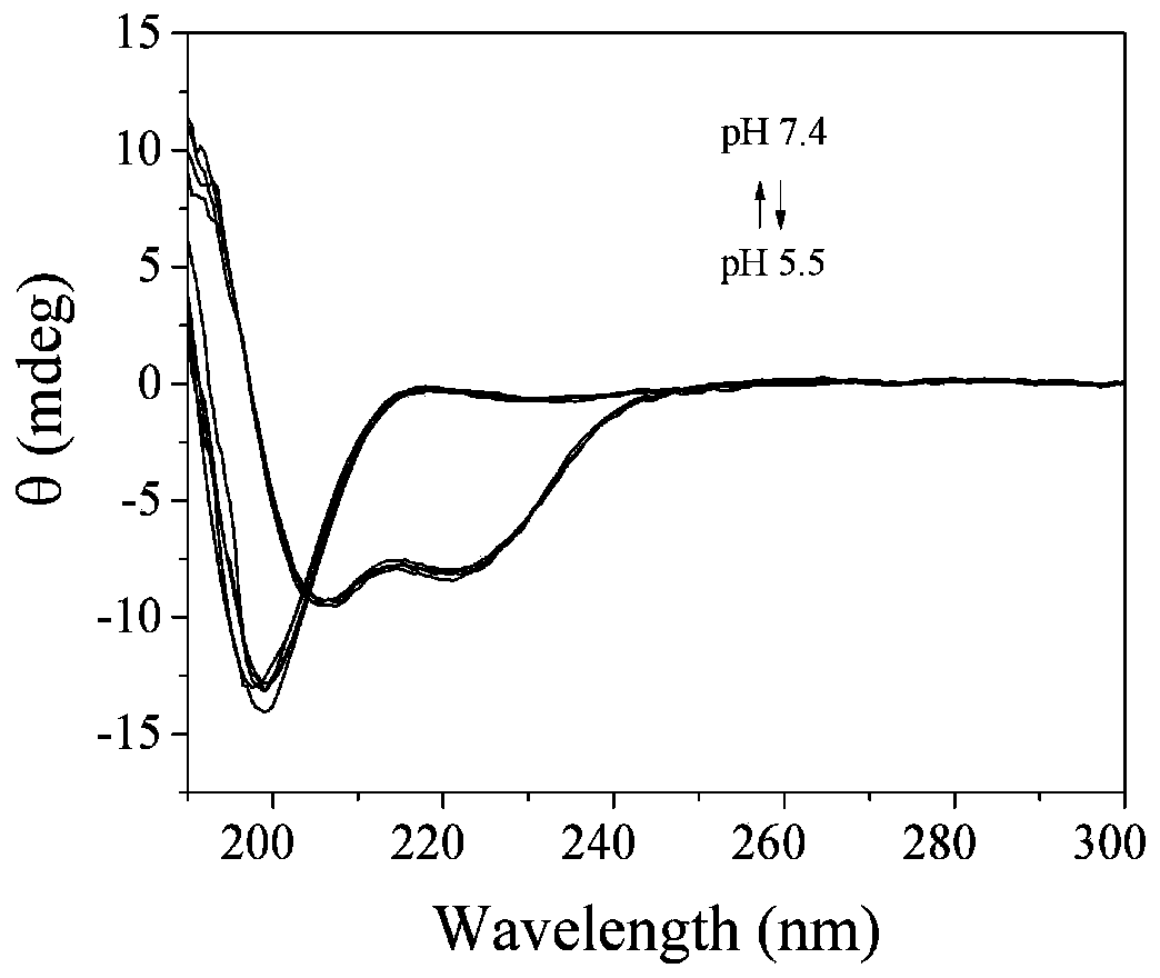 Polypeptide cross-linked protein molecularly imprinted polymer and its preparation method and application