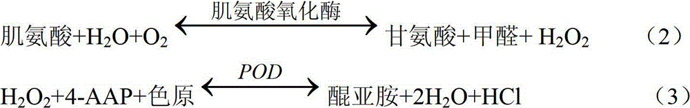 Two-step enzyme measuring method and measuring reagent for creatinine in blood serum