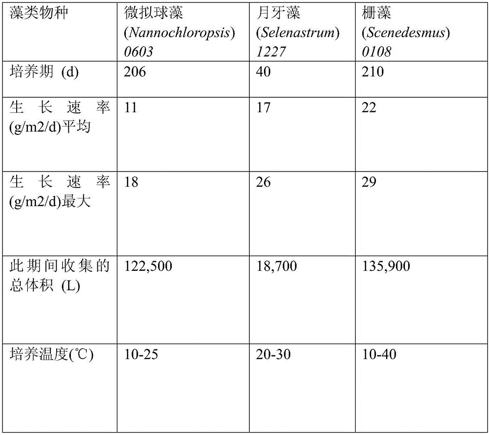 Selecting, producing, and feeding whole algae as feed supplement for cattle and bison to produce meat high in omega-3 for human health