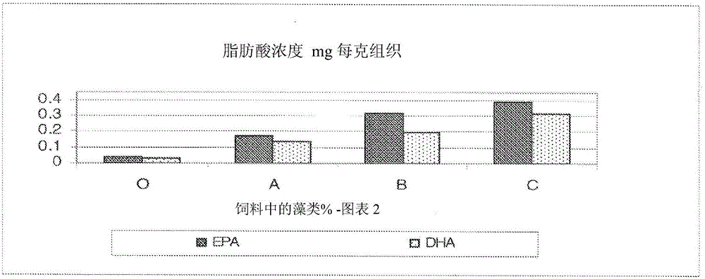 Selecting, producing, and feeding whole algae as feed supplement for cattle and bison to produce meat high in omega-3 for human health