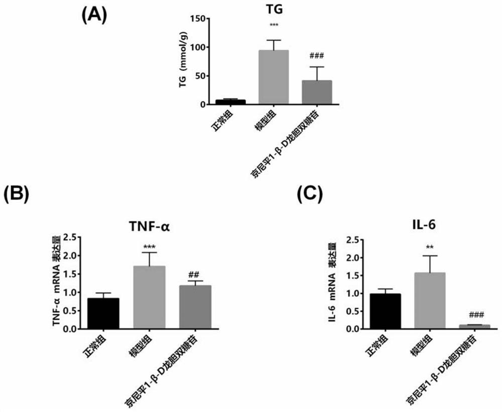 Medical application of iridoid glycoside compound