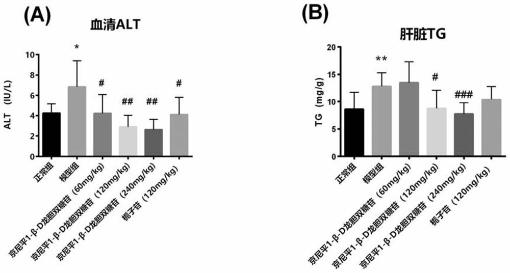 Medical application of iridoid glycoside compound