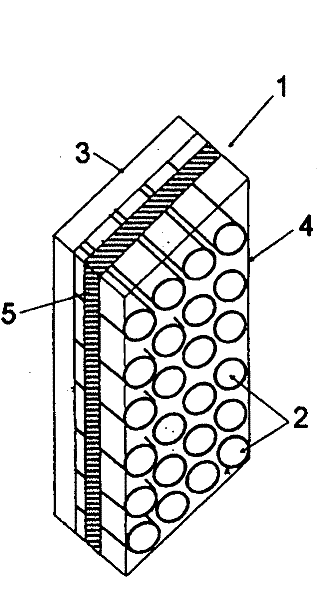 Carrying strap