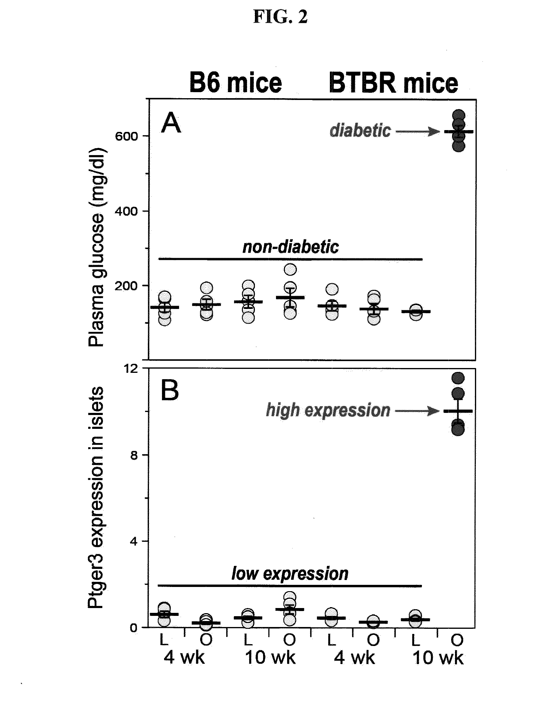 E-prostanoid receptor, ptger3, as a novel Anti-diabetic therapeutic target