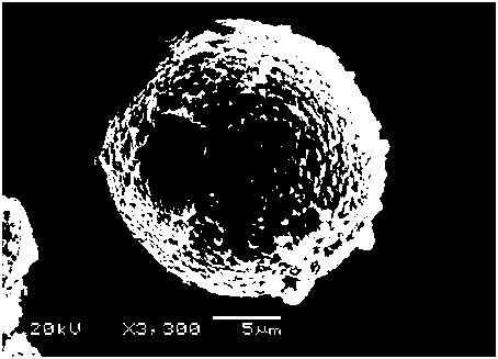 Lithium manganate-coated lithium nickel cobalt aluminate positive electrode material and preparation method thereof