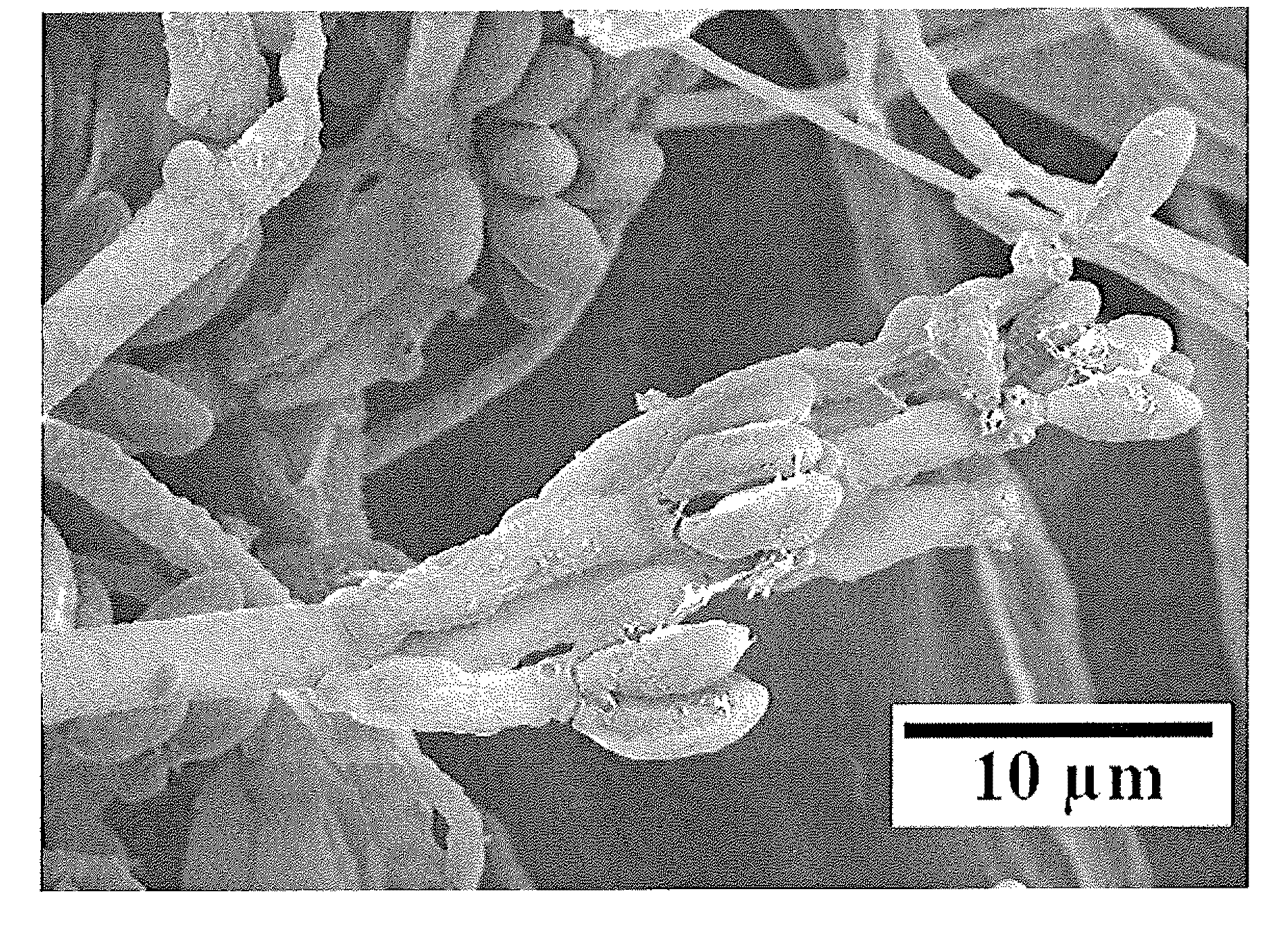 System and Method of Producing Volatile Organic Compounds from Fungi