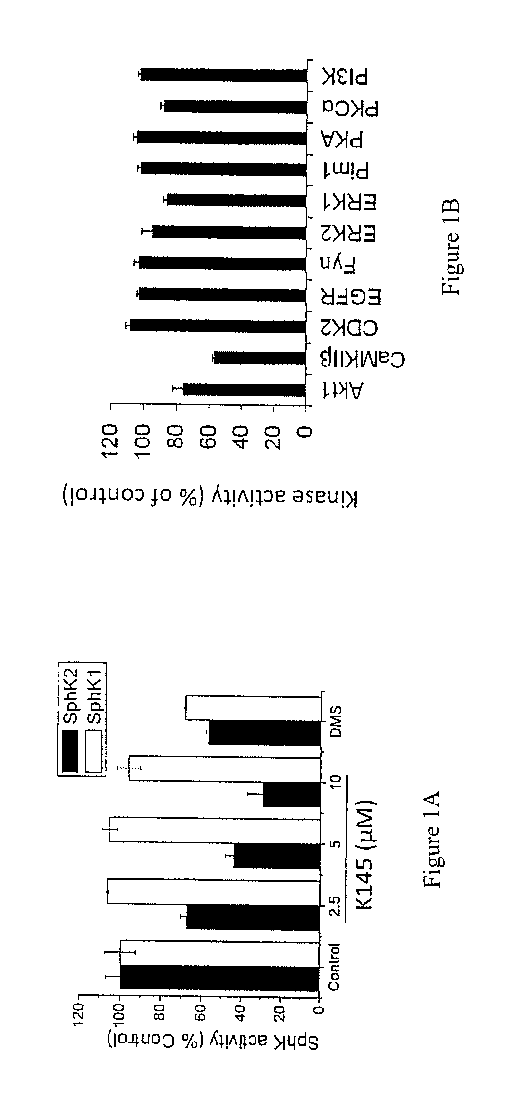 3-(2-amino-ethyl)-alkylidene)-thiazolidine-2,4-dione and 1-(2-amino-ethyl)-alkylidene-1,3-dihydro-indol-2-one derivatives as selective sphingosine kinase 2 inhibitors