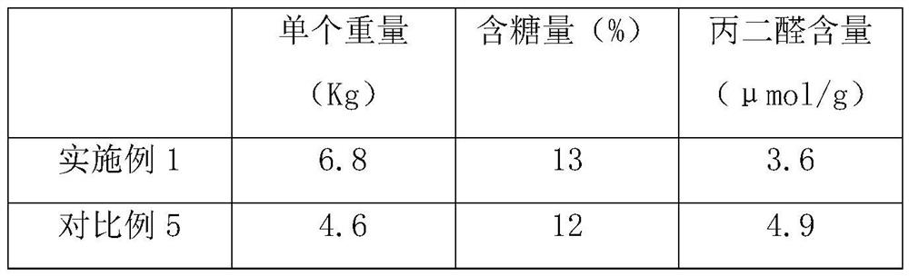 Watermelon planting method adopting growth protective agent