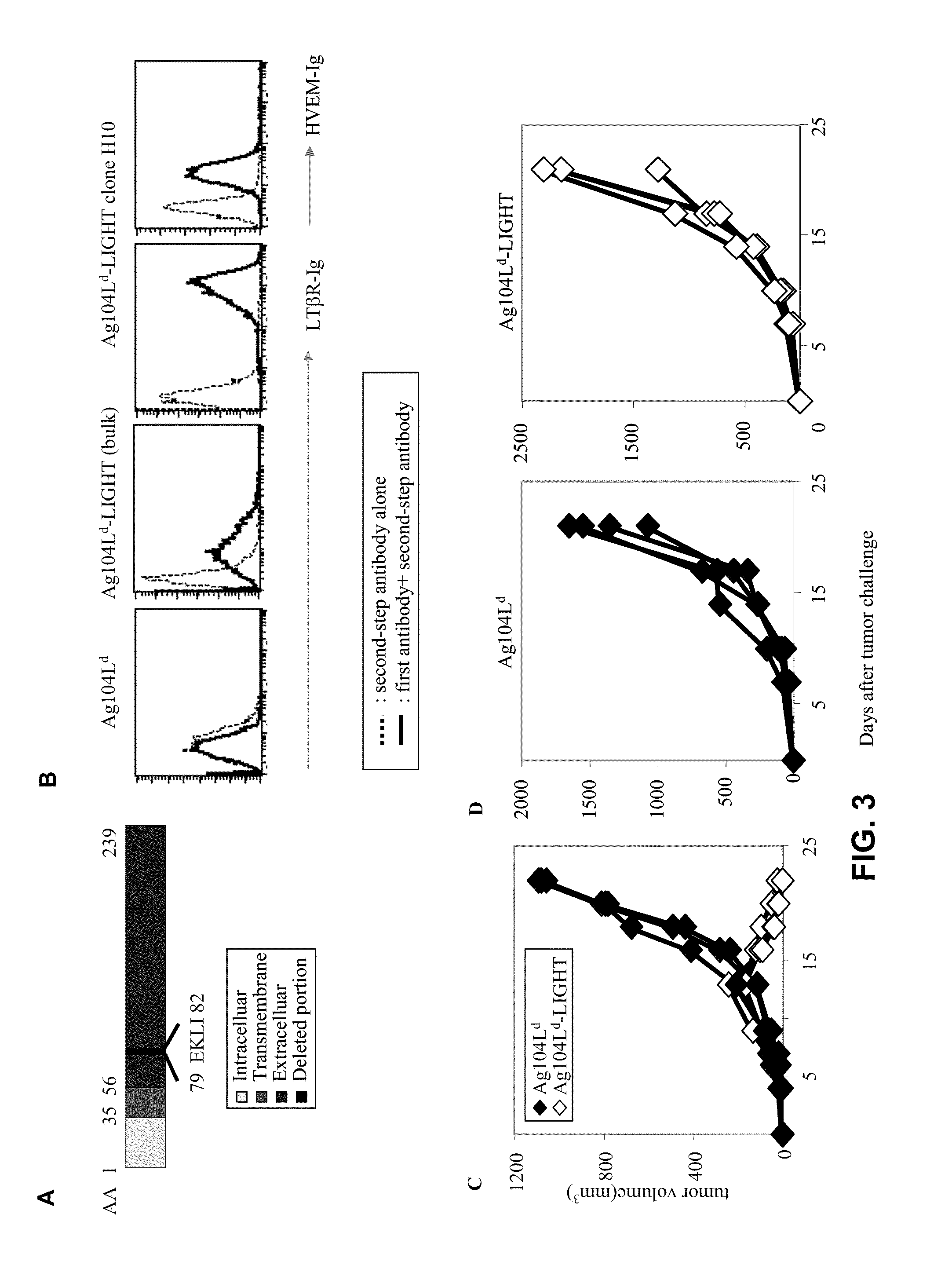 Increased T-cell tumor infiltration and eradication of metastases by mutant light