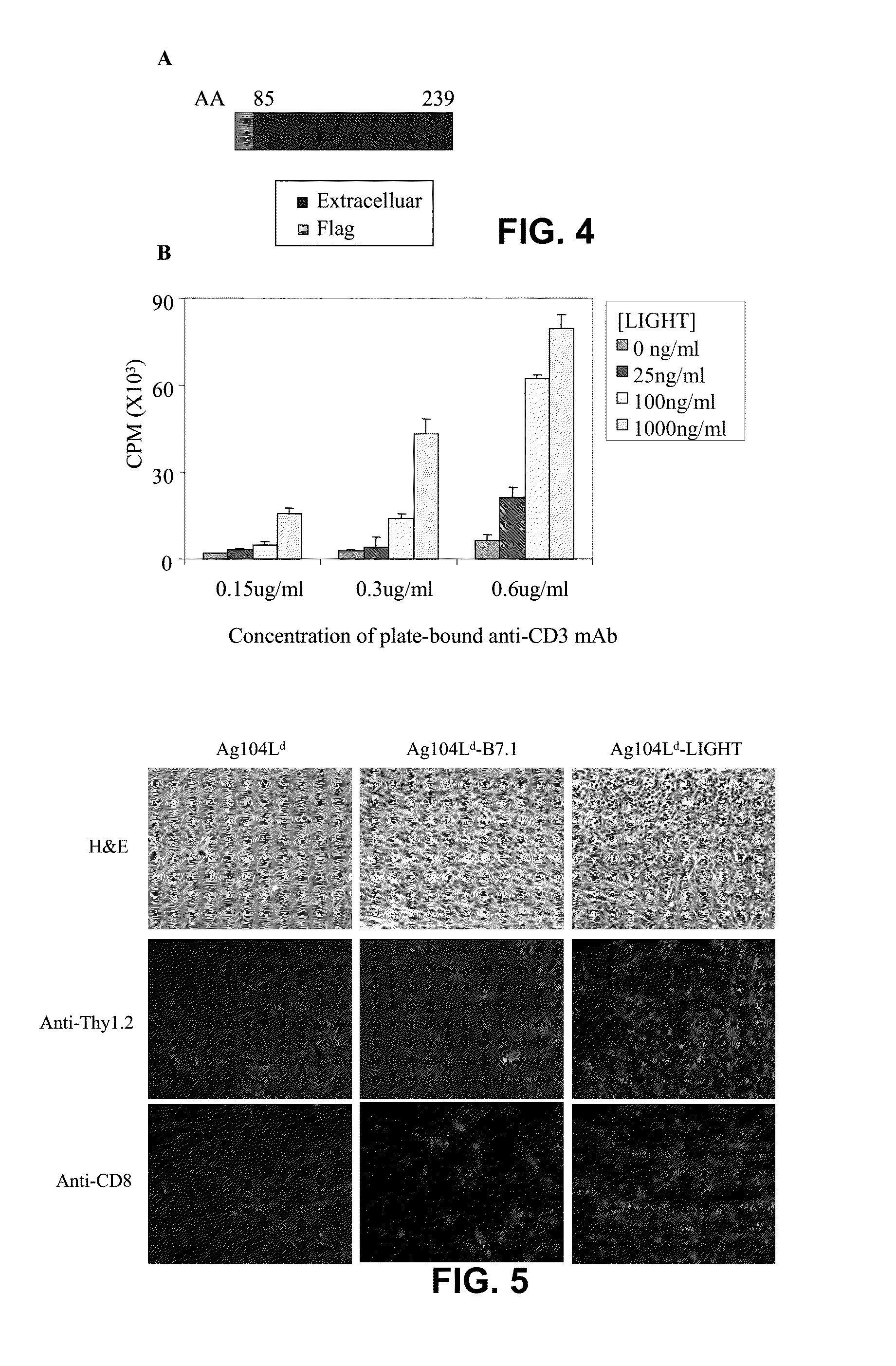 Increased T-cell tumor infiltration and eradication of metastases by mutant light