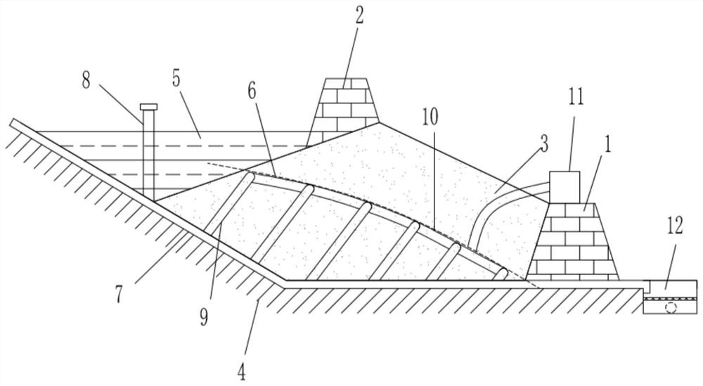 Centralized seepage drainage device for tailing pond and seepage drainage method thereof