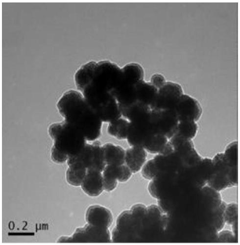 Application of magnetic nanoparticles in nucleic acid extraction and preparation method thereof