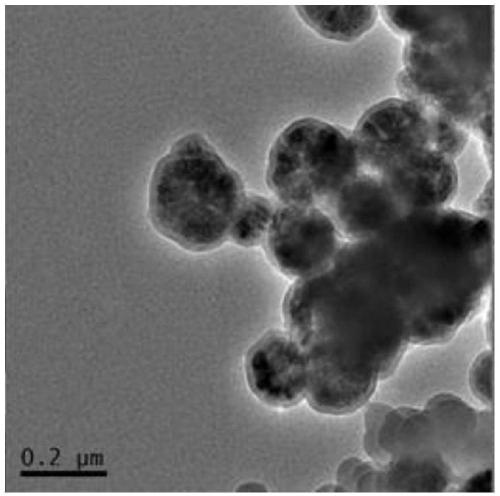 Application of magnetic nanoparticles in nucleic acid extraction and preparation method thereof