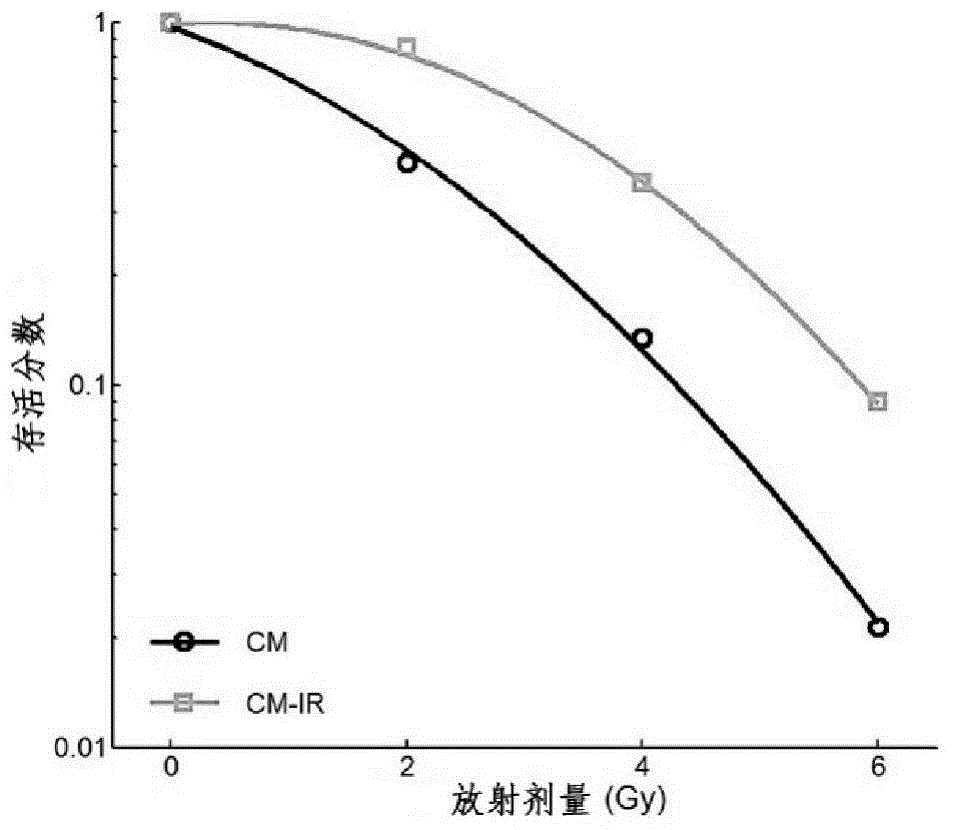 Molecular marker miR-504 for regulating radiation resistance of nasopharyngeal carcinoma