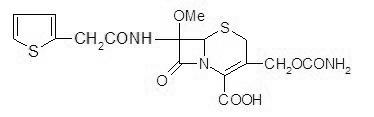 Method for producing cephalothin acid by water phase method