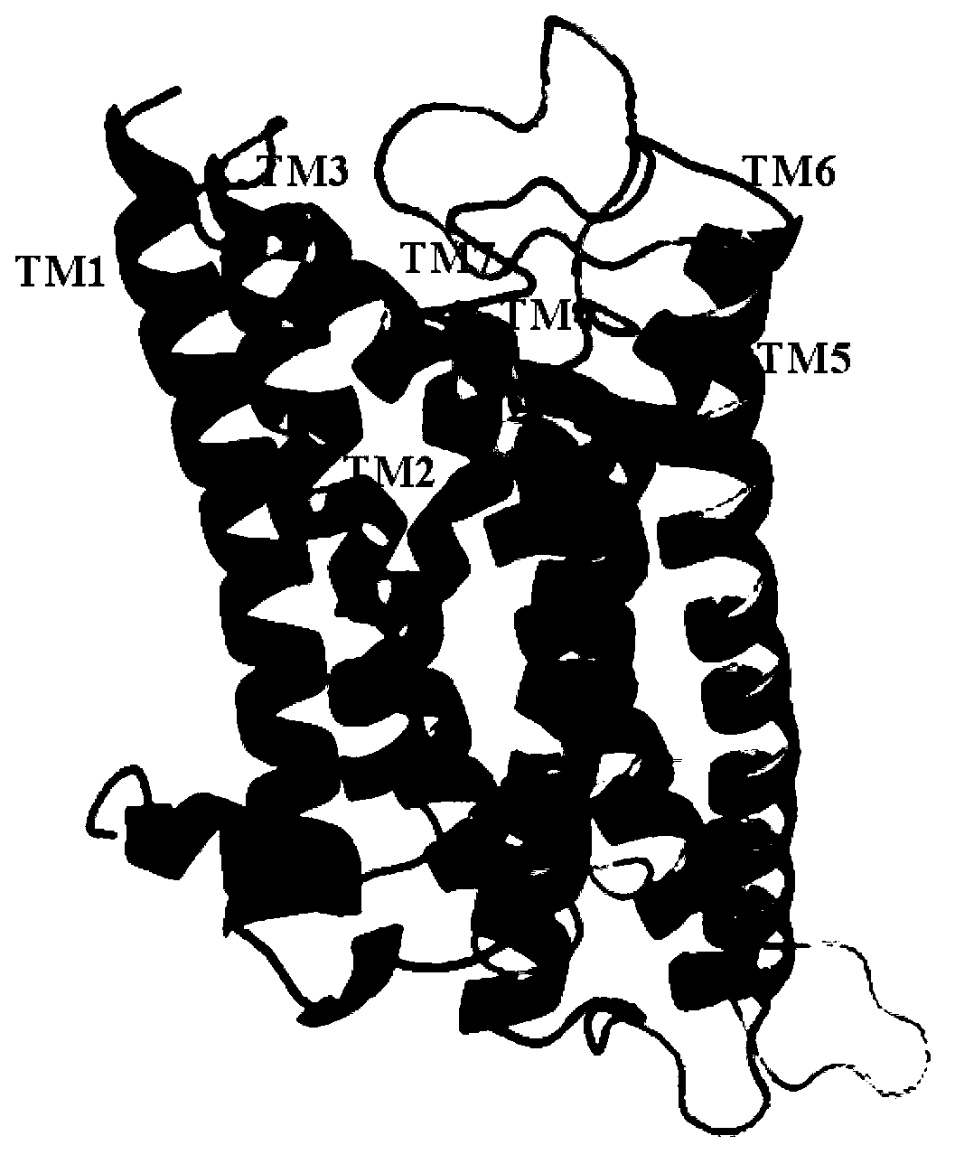 Medicinal use of indole piperazine derivative