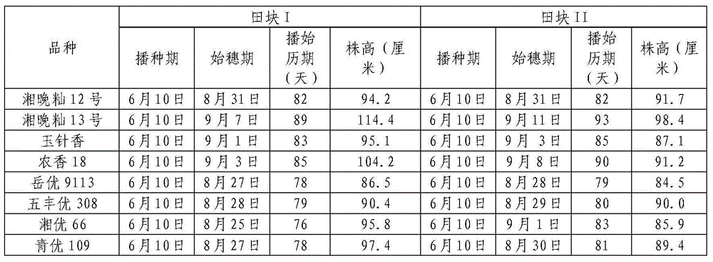 Method for identifying late rice head sprouting flowering period drought-enduring type varieties in field