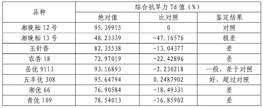 Method for identifying late rice head sprouting flowering period drought-enduring type varieties in field