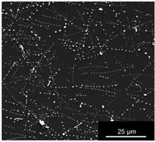 Method for preparing highly ordered silver nanochain structure based on low temperature plasma